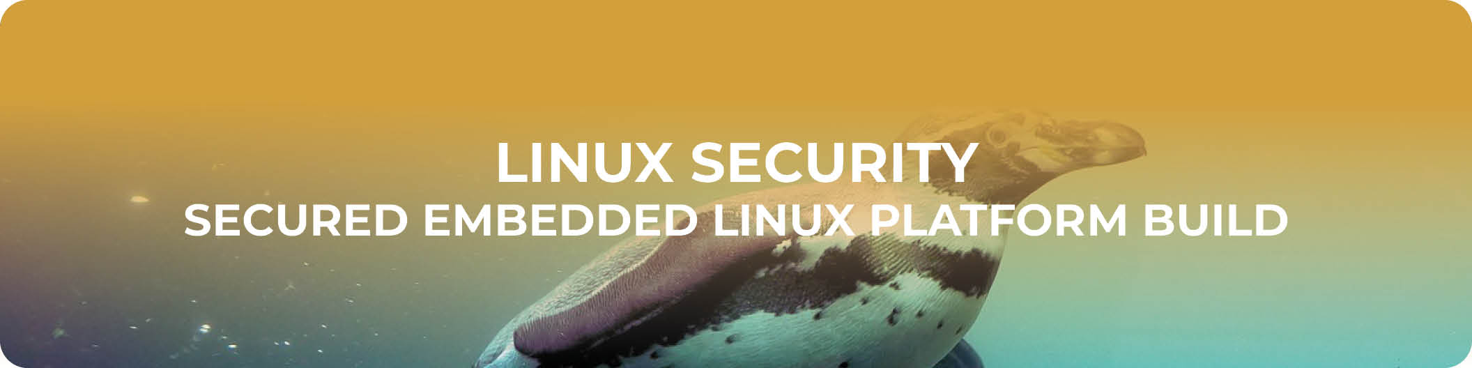 Linux Security - Secured Embedded Linux Platform Build